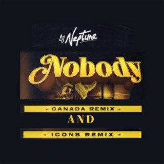 Nobody (Icons Remix) ft. Laycon & Joeboy cover art