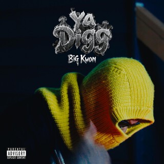 Ya Digg cover art