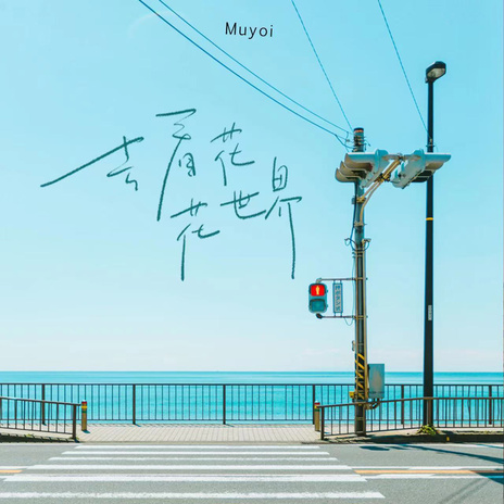 去看花花世界 cover art