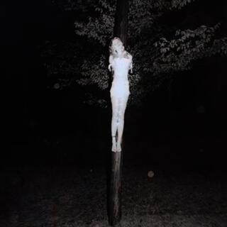 Discography