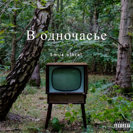 В одночасье cover art