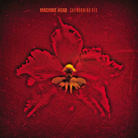 Desire to Fire cover art