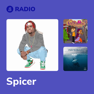 Spicer Radio