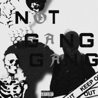 not gang gang cover art