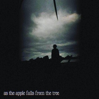 As The Apple Falls From The Tree