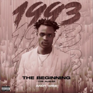 1993 the Beginning
