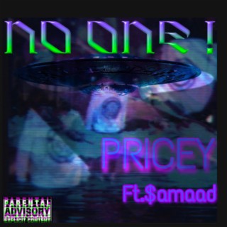 no one ! ft. $amaad cover art