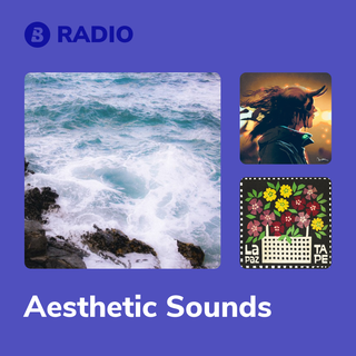 Aesthetic Sounds Radio