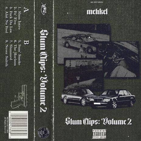 FUCK DA LAW cover art