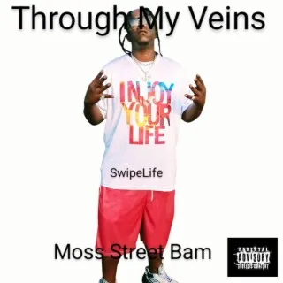 Through My Veins cover art