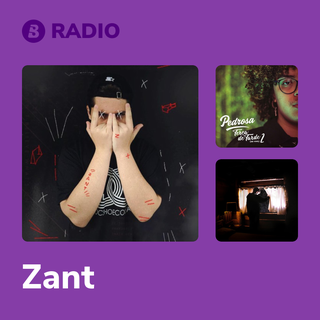 Zant Radio