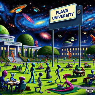 Flava University