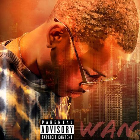 No Pain, No Wan cover art