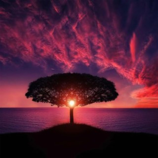 Rise Up Now cover art
