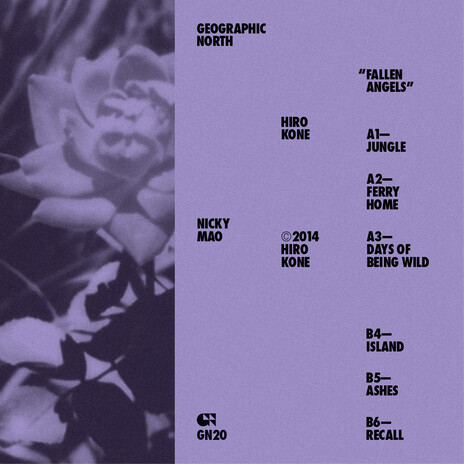 Days of Being Wild cover art