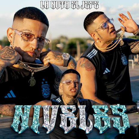 Niveles cover art