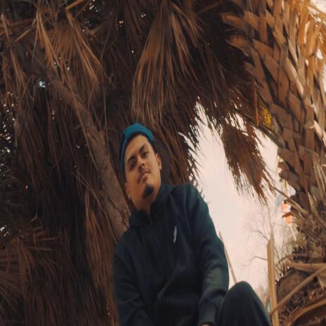 Too many times cover art