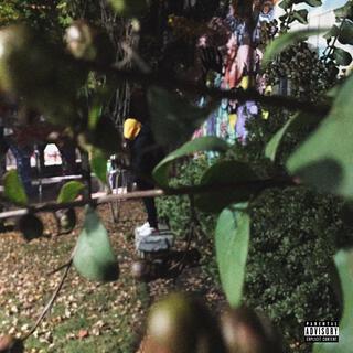 Money Grow on Trees cover art
