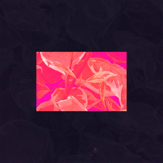 flwrsonvenus