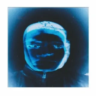 What they said cover art