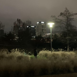 Lonesome 2: Deja Reve (Deluxe)
