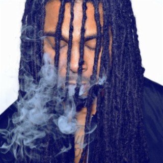 Franchise Tief
