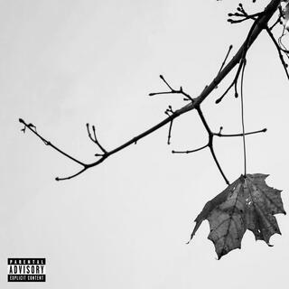 THE FALL