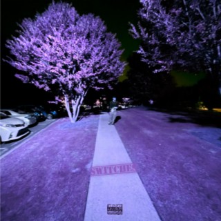 Switches cover art