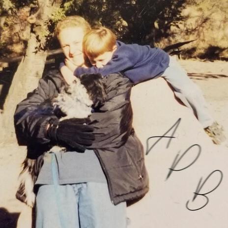 APB cover art