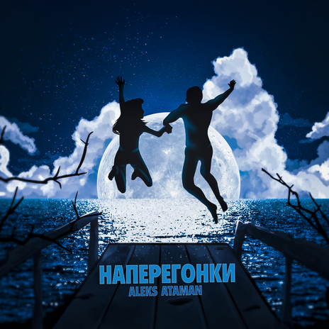 Наперегонки cover art