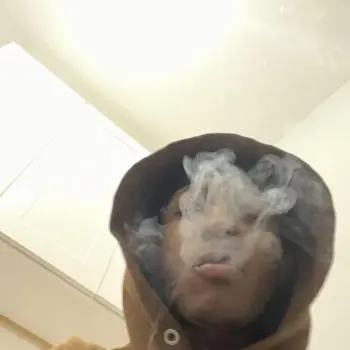 24 cover art