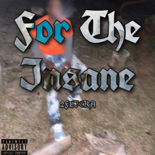 For The Insane
