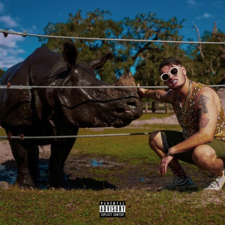 Jungle cover art