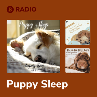 Puppy Sleep Radio
