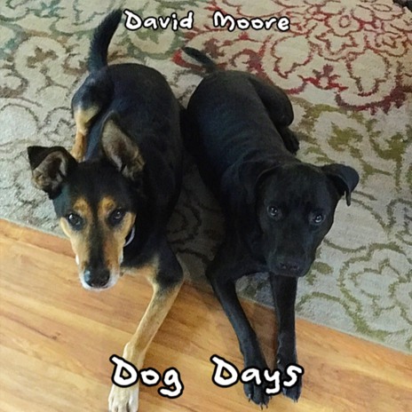 Dog Days cover art