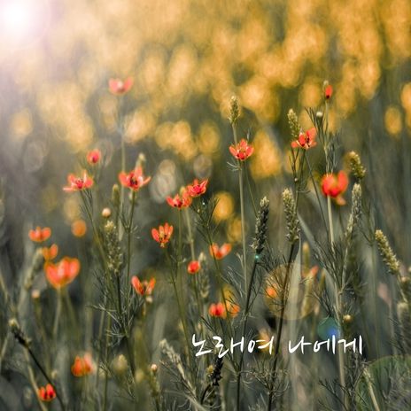 Summer, Winter, Fall (2020 Remix Version)