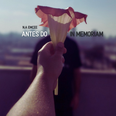 Antes do In Memoriam