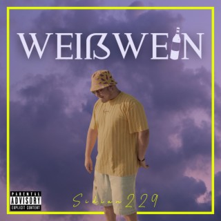 Sidian229