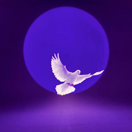 AfterDark cover art