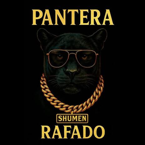 PANTERA cover art