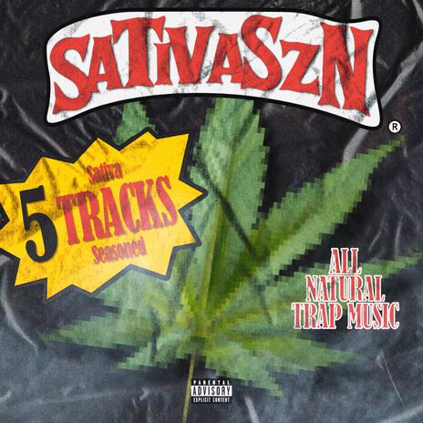 SATIVASZN ft. TyySzn