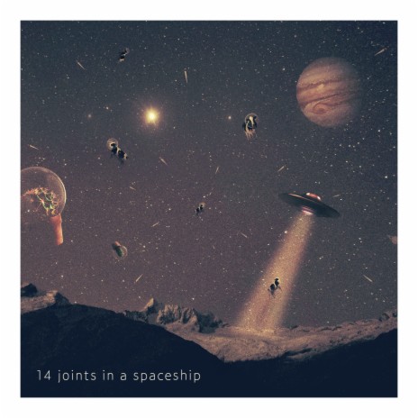 14 Joints in a Spaceship cover art