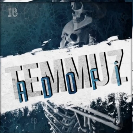 TEMMUZ cover art