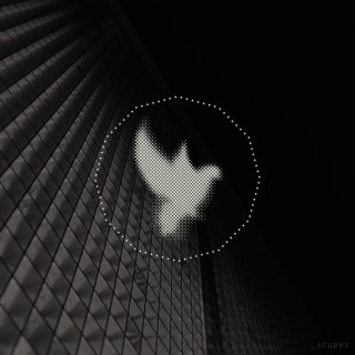 _scapes