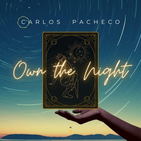 Own The Night cover art