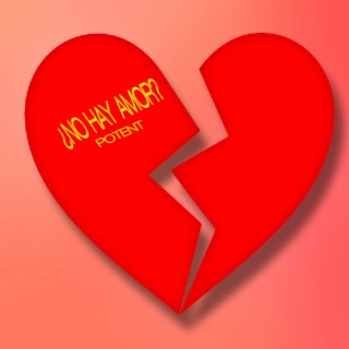 ¿No Hay Amor? cover art
