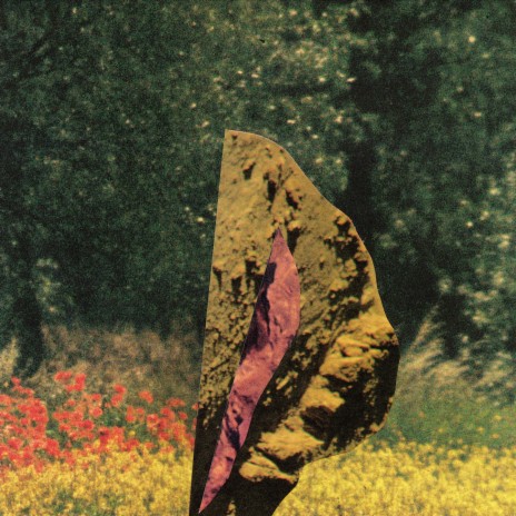 Das Biotop im Traum und in der Wirklichkeit cover art