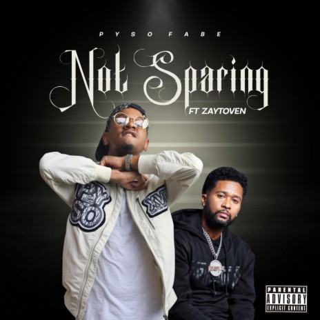 Not Sparing ft. Zaytoven cover art