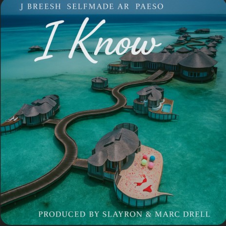 I Know <3 ft. Selfmade AR & Paeso! cover art