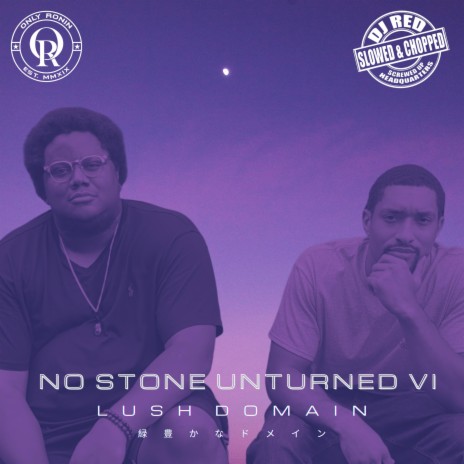 Plugged In (Slowed & Chopped) ft. DJ Red cover art